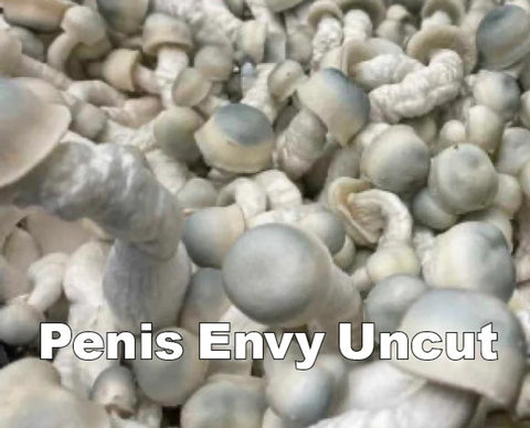 Penis Envy Uncut Spore Syringe (P. Cubensis)